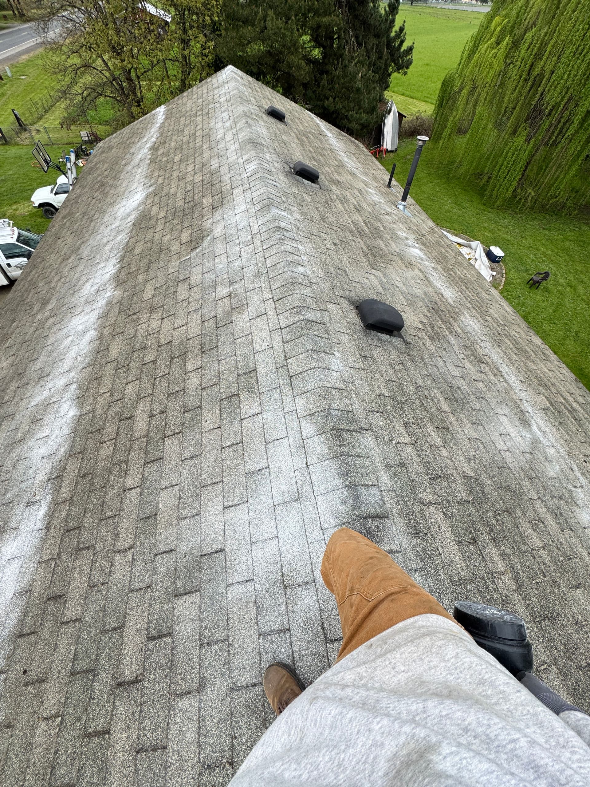 Gallery photos for Roof Moss Removal and Treatment Success: Image #3