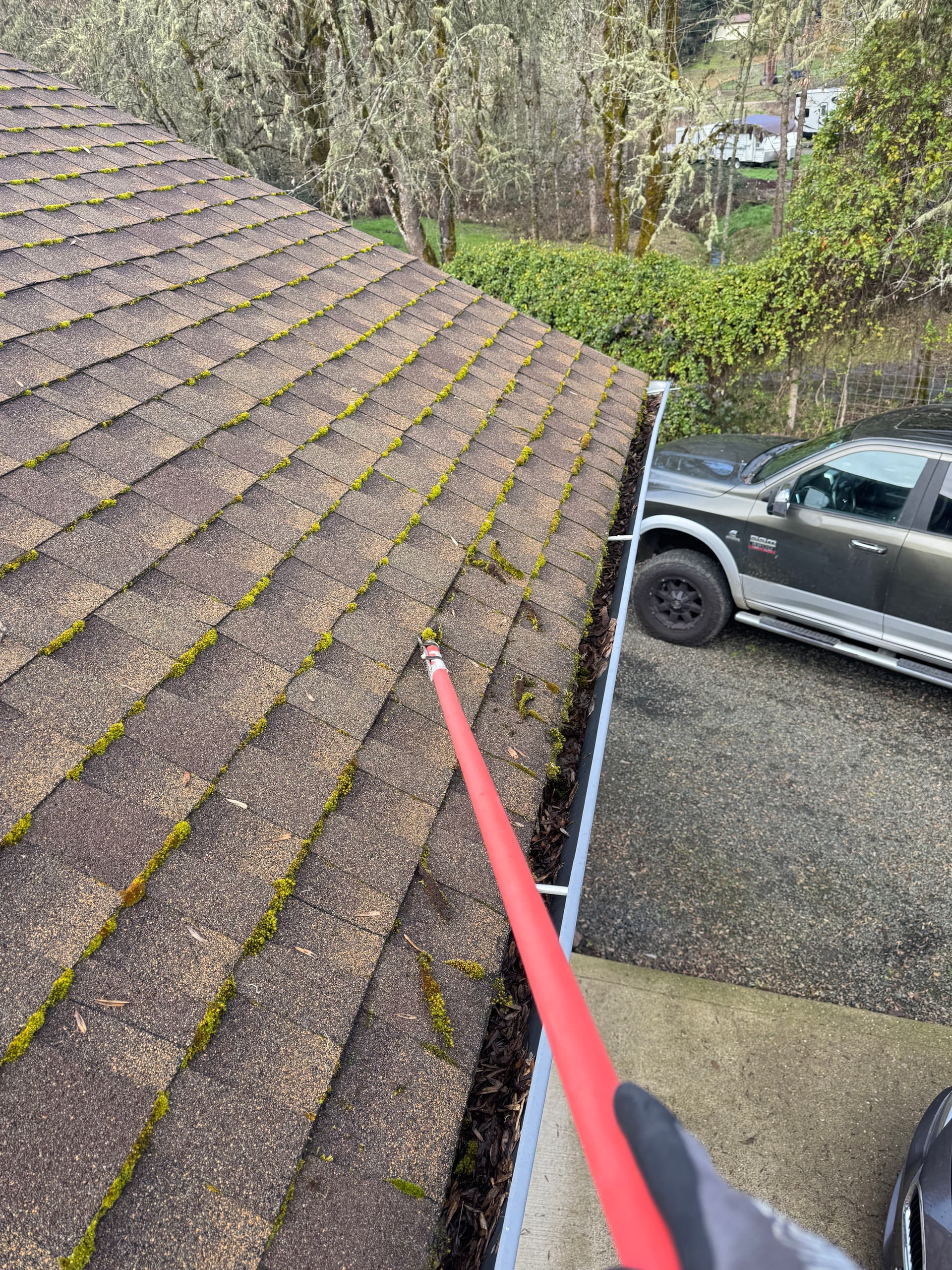 Gallery photos for Moss-Free Roof Achieved with Taylor Pro Exteriors: Image #5