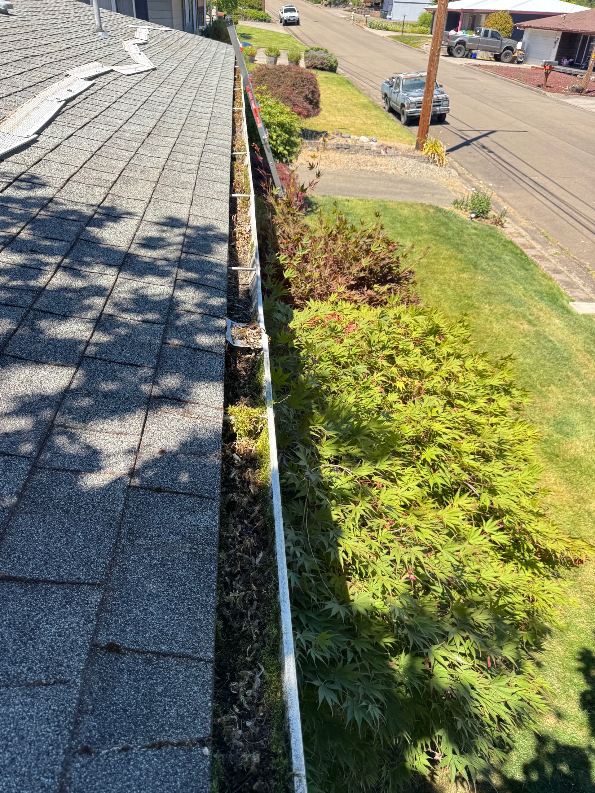 Gallery photos for Roof Moss Removal and Gutter Cleaning Done Right: Image #2