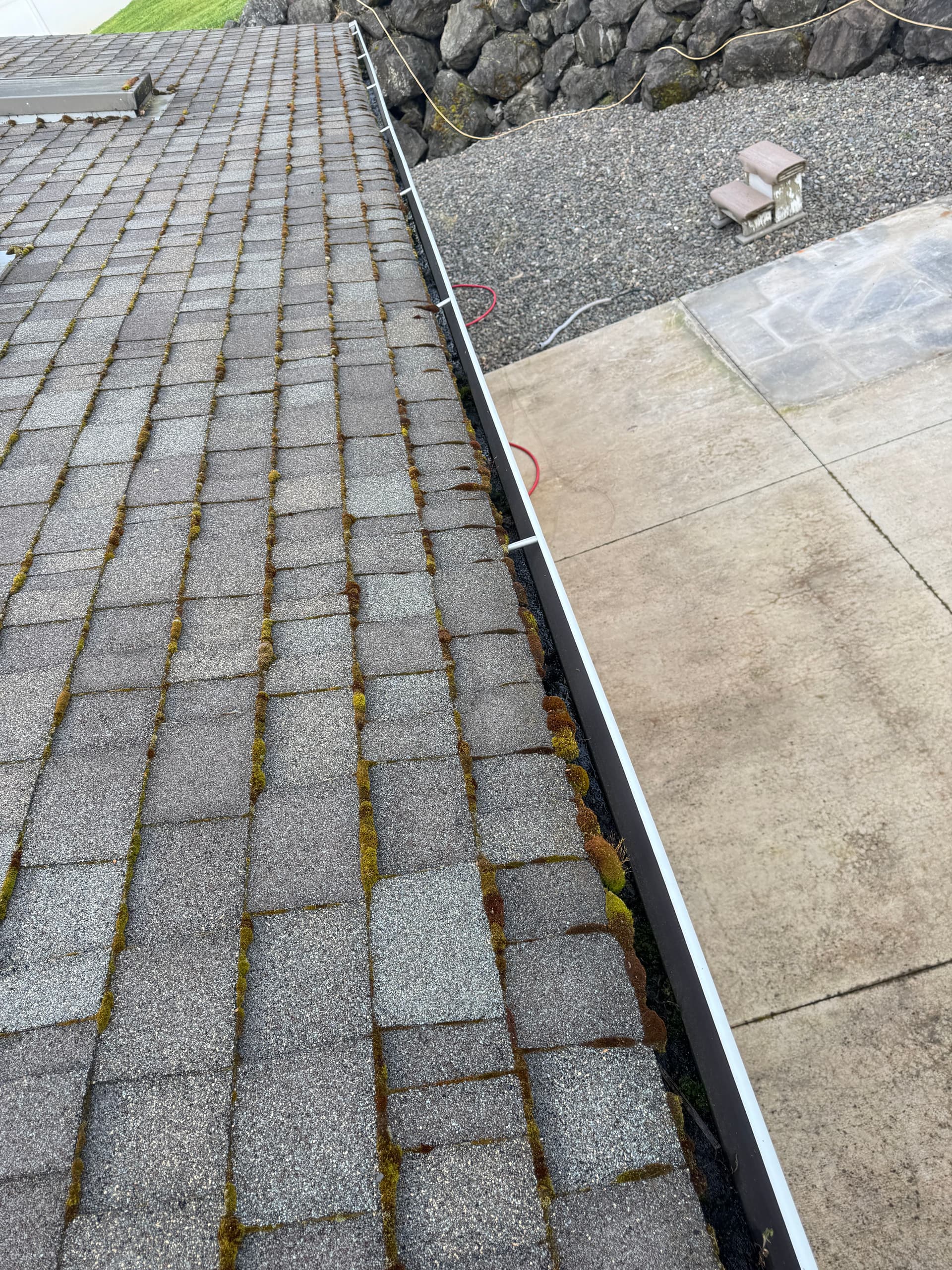 Gallery photos for Full Roof Moss Removal, Gutter Clean and Skylight Detail: Image #1