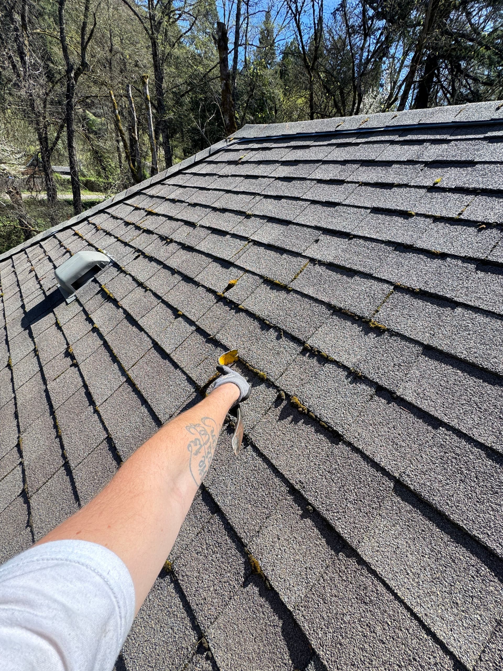 Gallery photos for Full-Service Property Cleanup with Roof and Window Care: Image #1