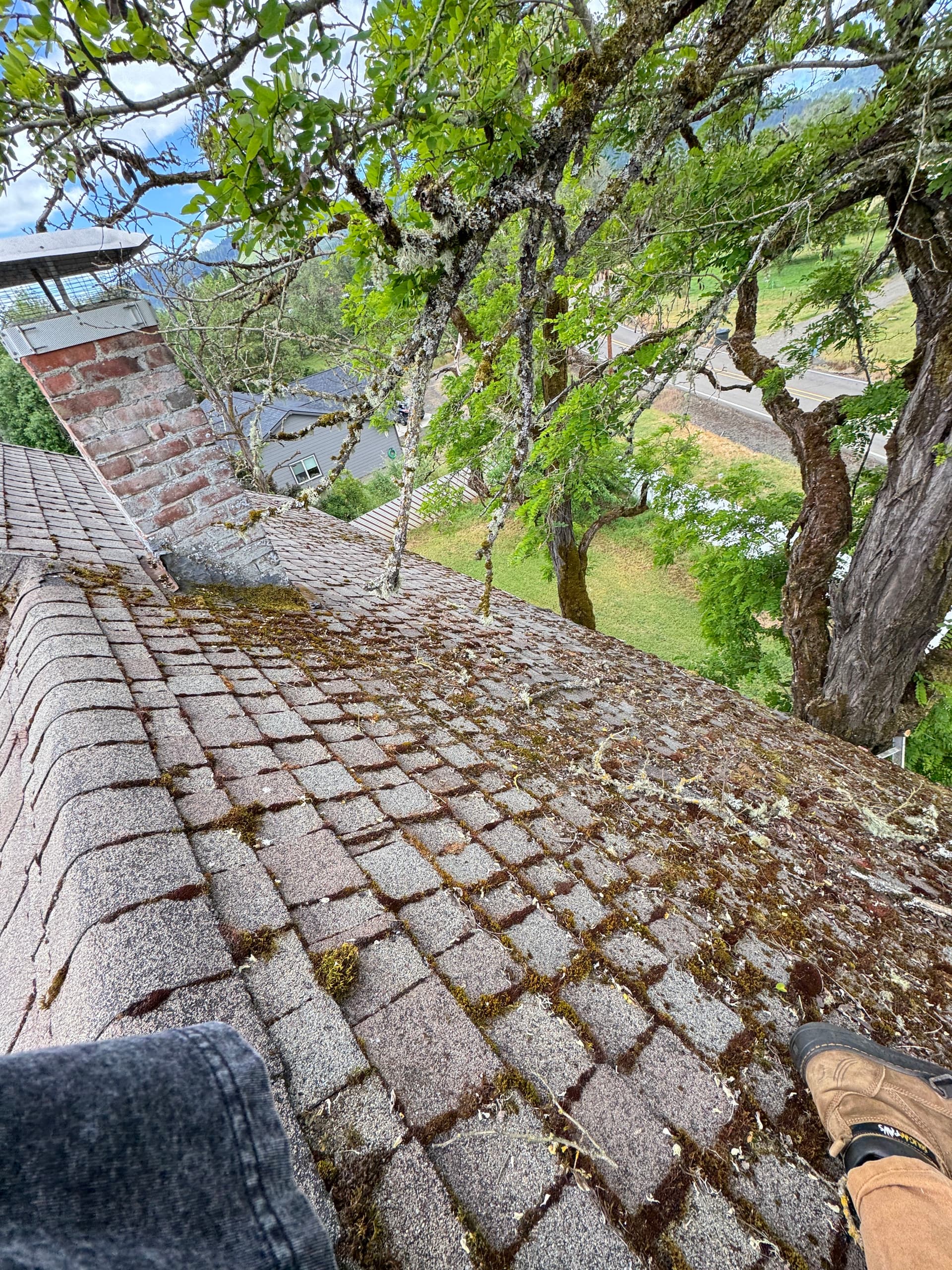 Gallery photos for Moss Removal on a Steep 2-Story Home That Had Been on My Radar: Image #3