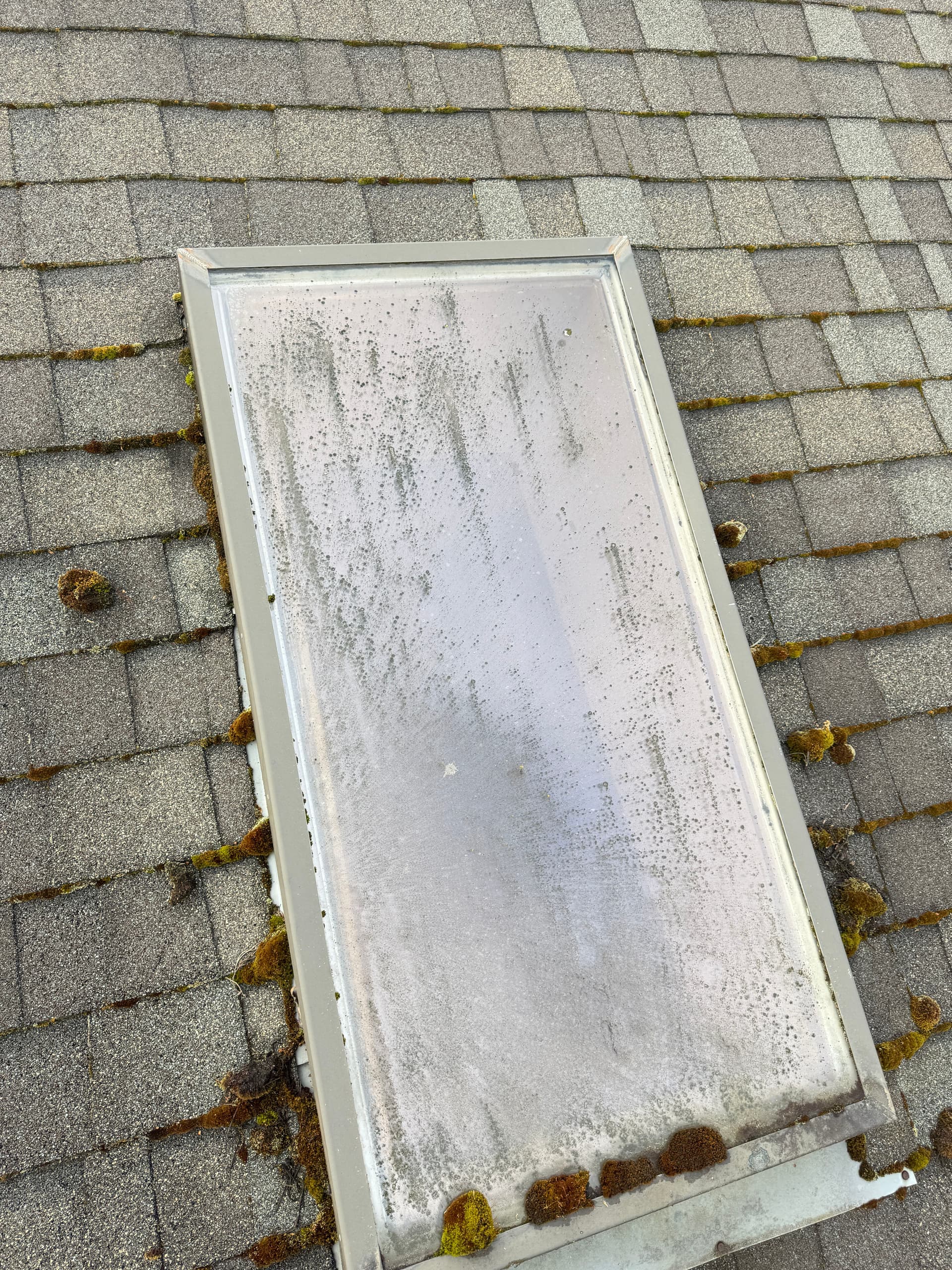 Gallery photos for Full Roof Moss Removal, Gutter Clean and Skylight Detail: Image #3