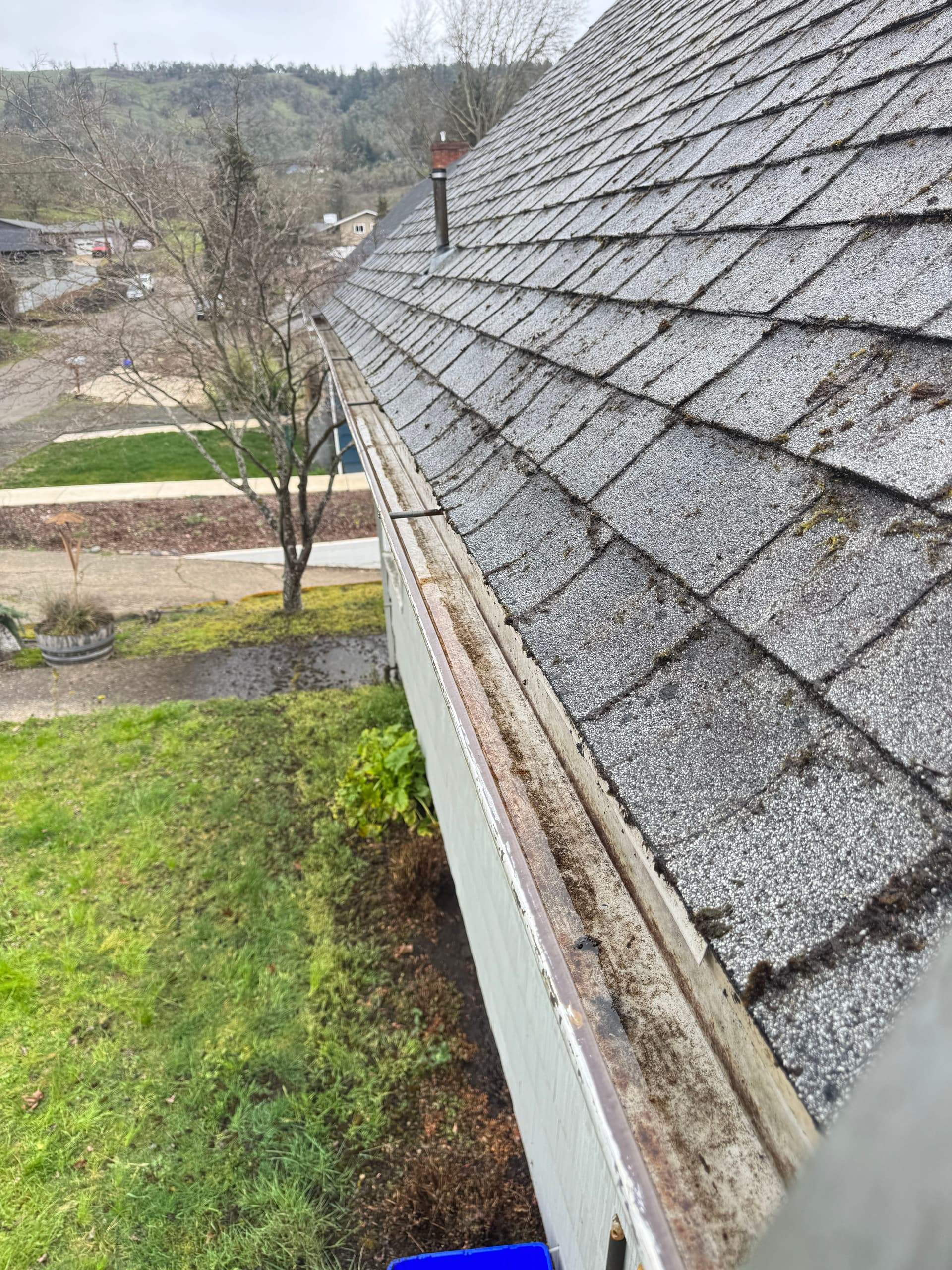 Gallery photos for Roof Moss Removal and Gutter Cleaning on a Steep Roof: Image #6