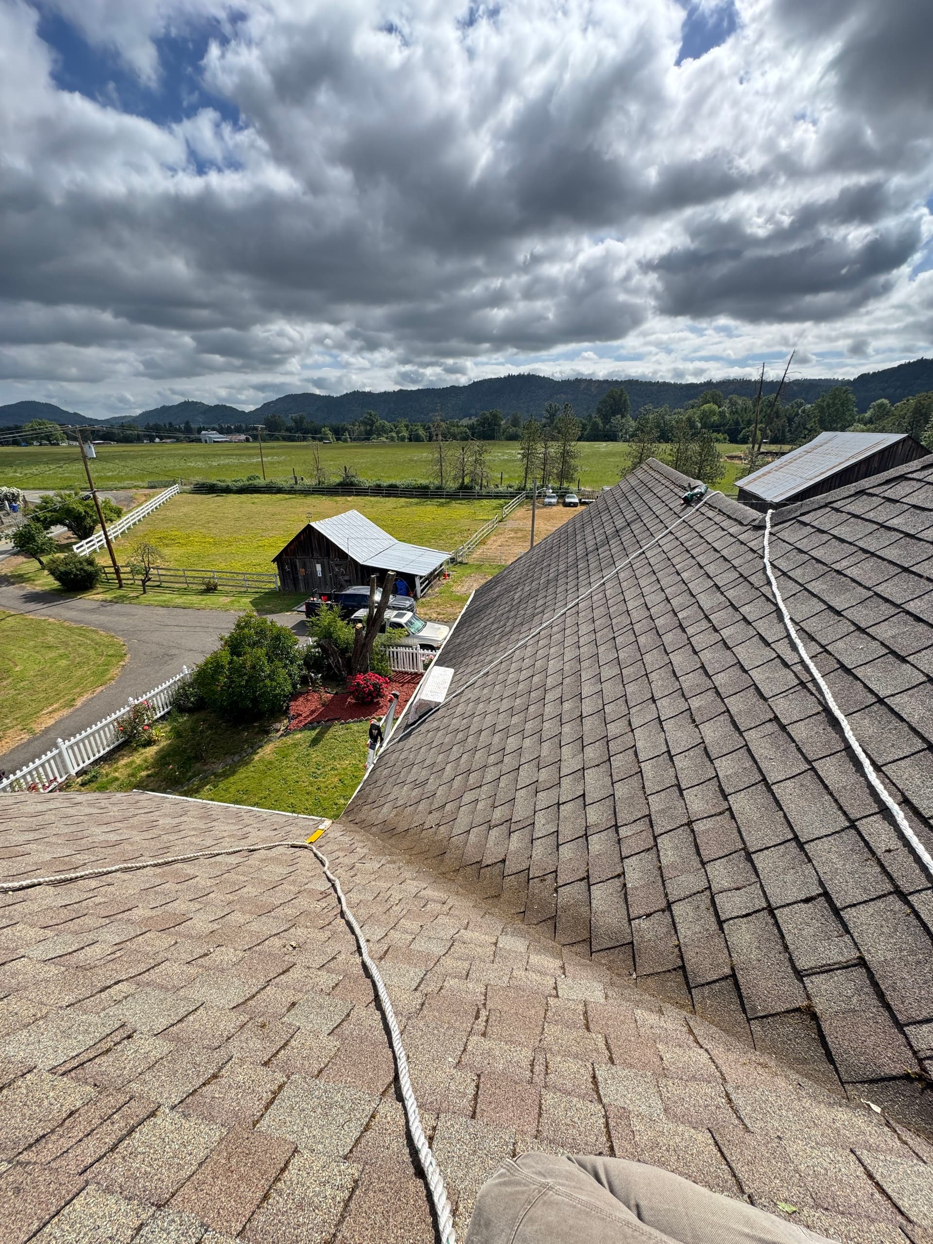 Gallery photos for Moss Removal on a Steep 2-Story Home That Had Been on My Radar: Image #8