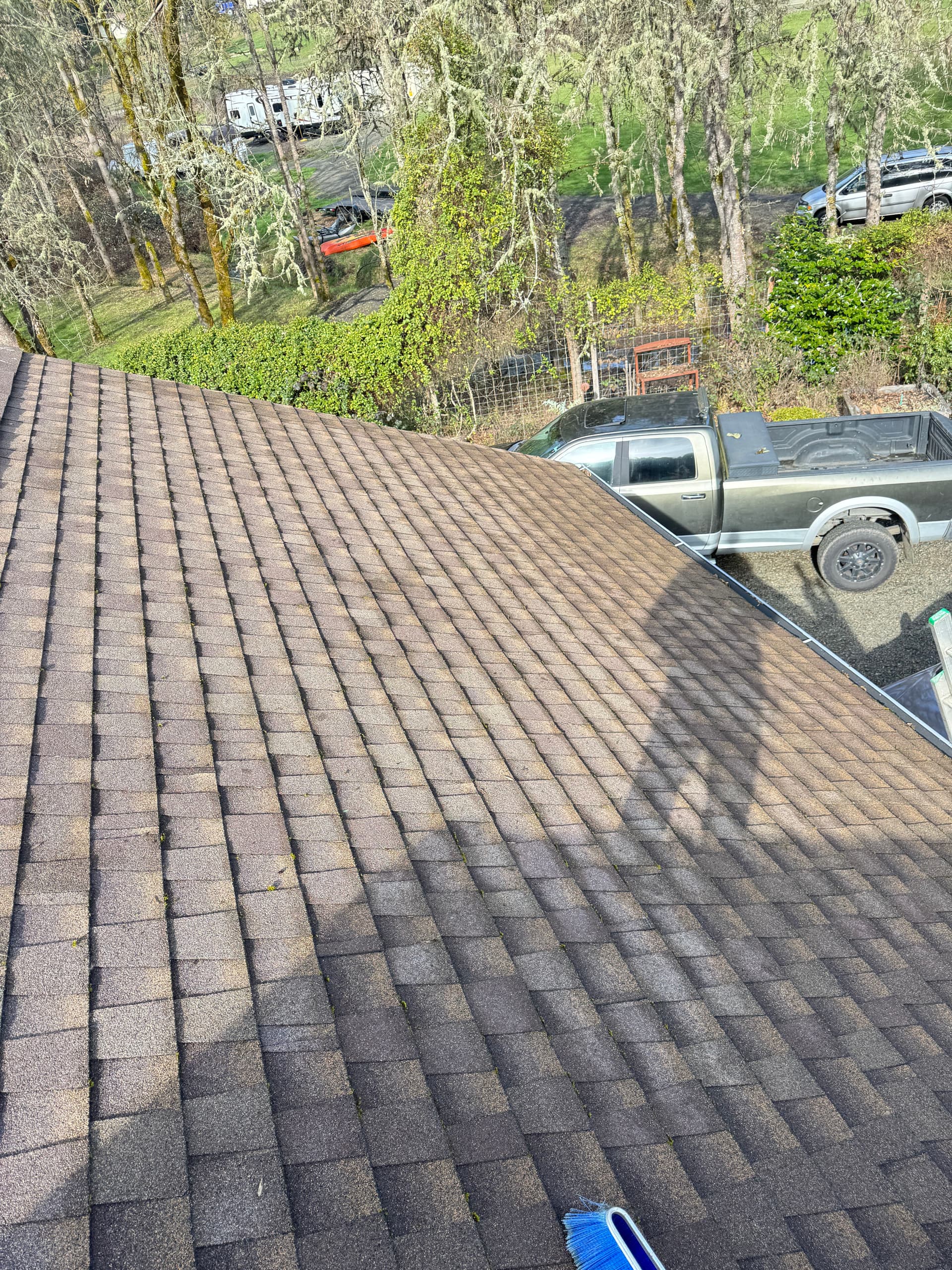 Gallery photos for Moss-Free Roof Achieved with Taylor Pro Exteriors: Image #6