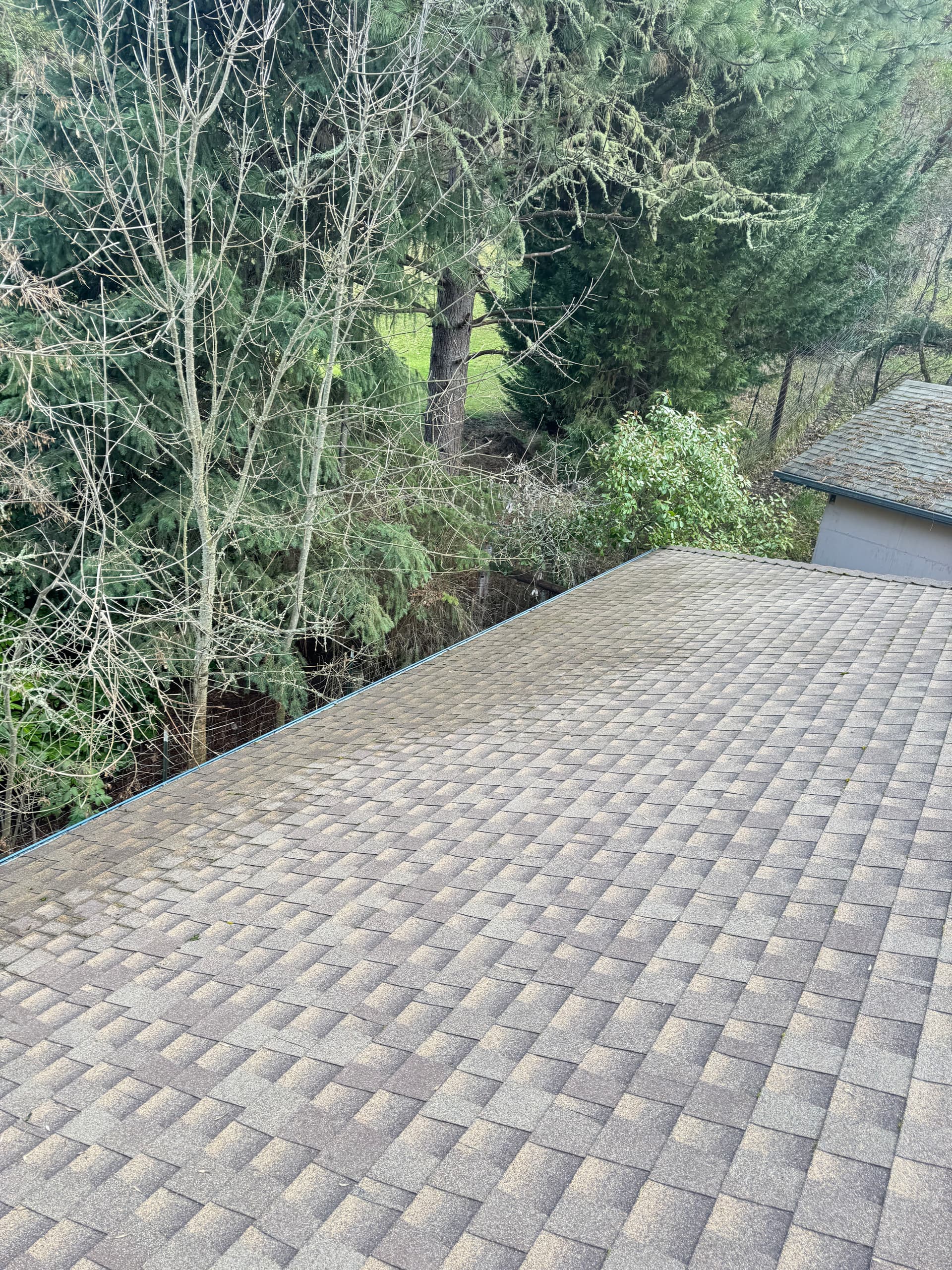 Gallery photos for Comprehensive Roof and Gutter Cleanup: Image #9