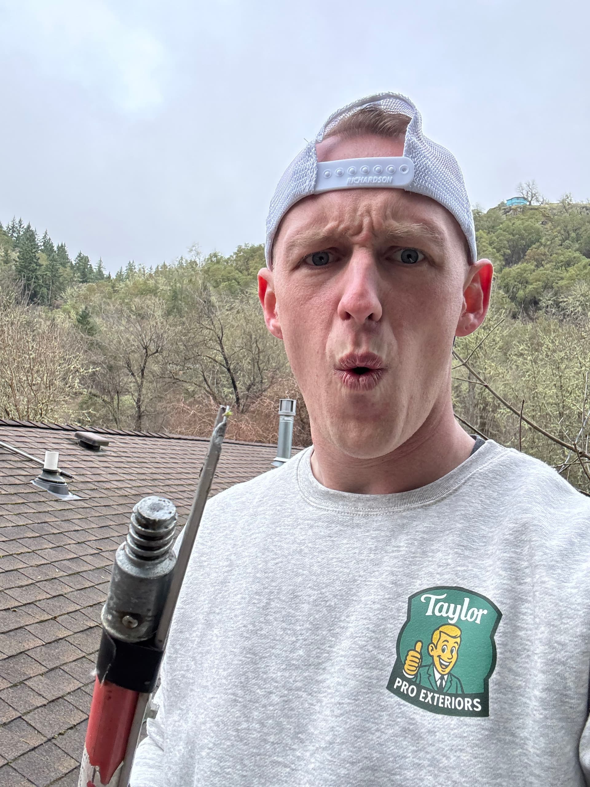 Gallery photos for Comprehensive Roof and Gutter Cleanup: Image #3