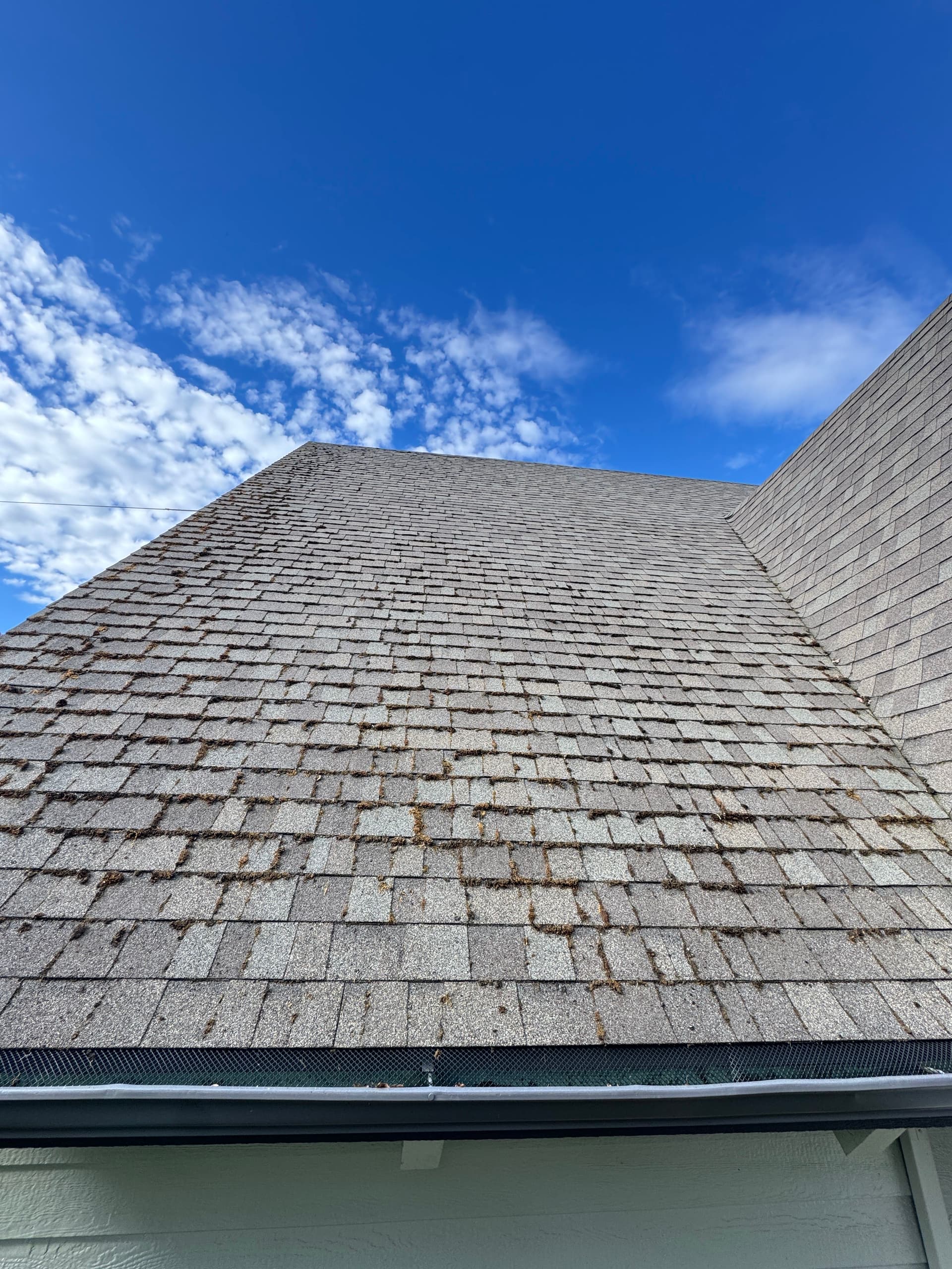 Gallery photos for Steep A-Frame Roof Moss Removal on a 12/12 Pitch: Image #3