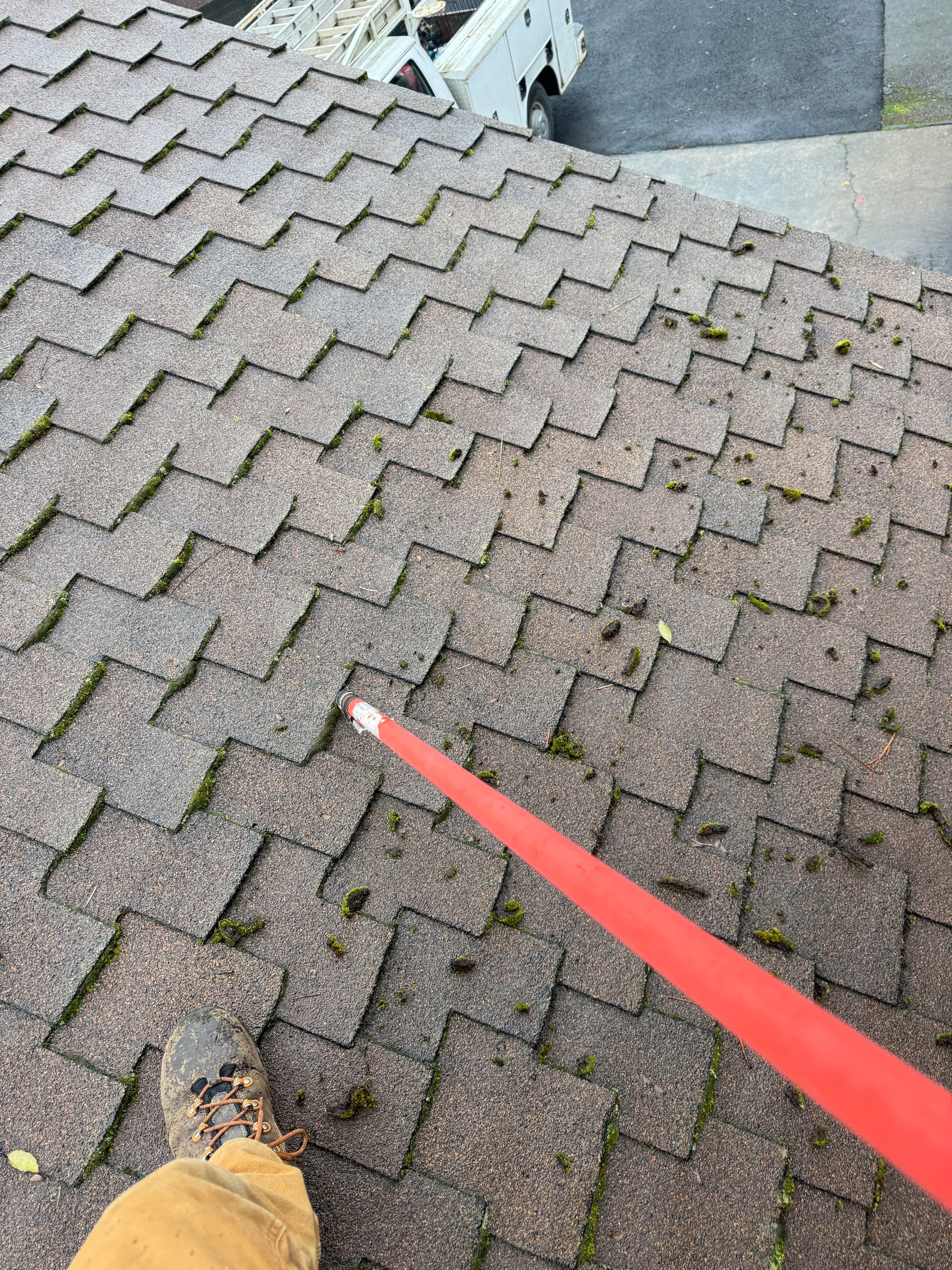 Gallery photos for Professional Roof Moss and Gutter Cleaning Service: Image #3