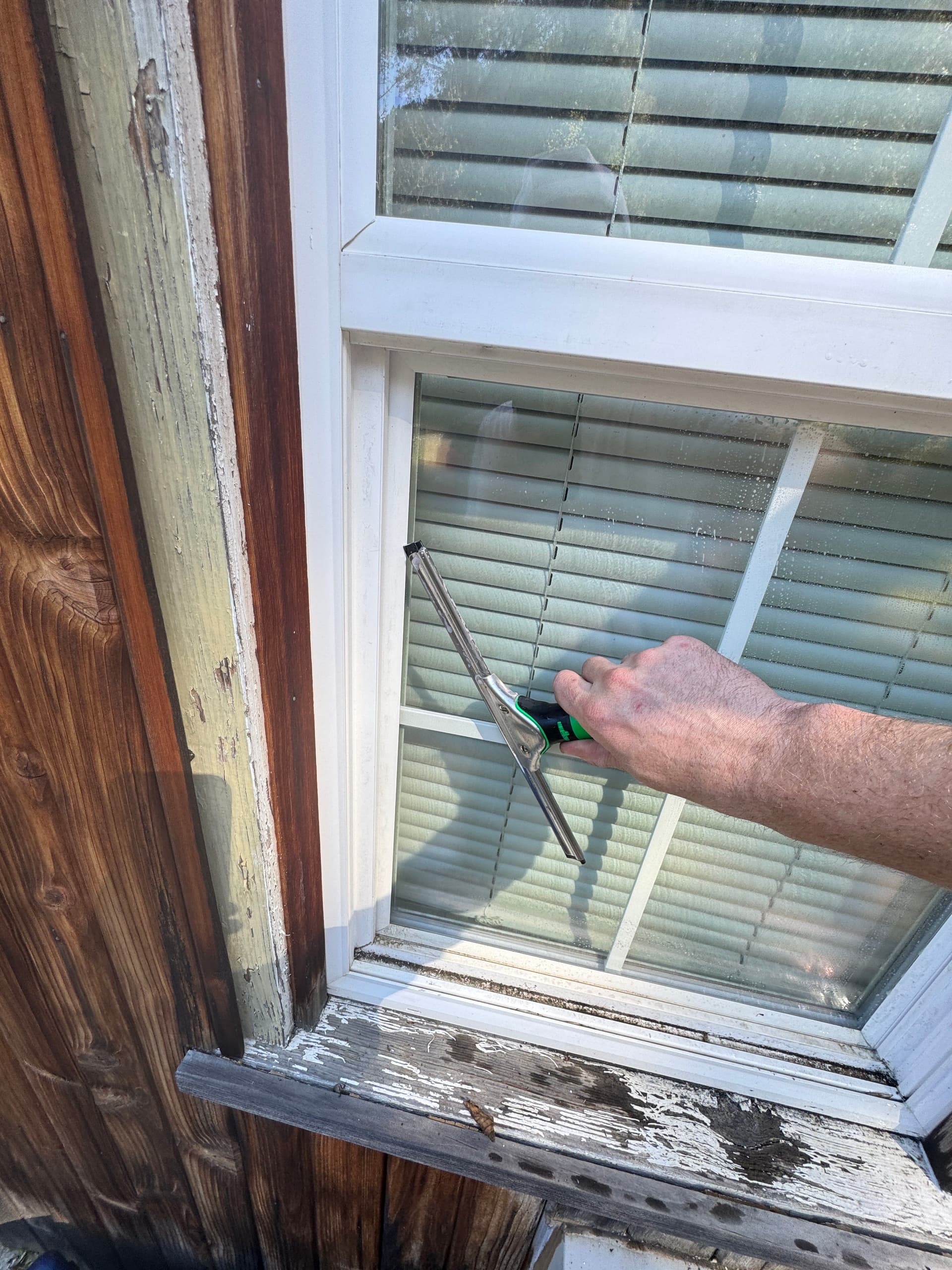 Gallery photos for Full-Service Property Cleanup with Roof and Window Care: Image #6