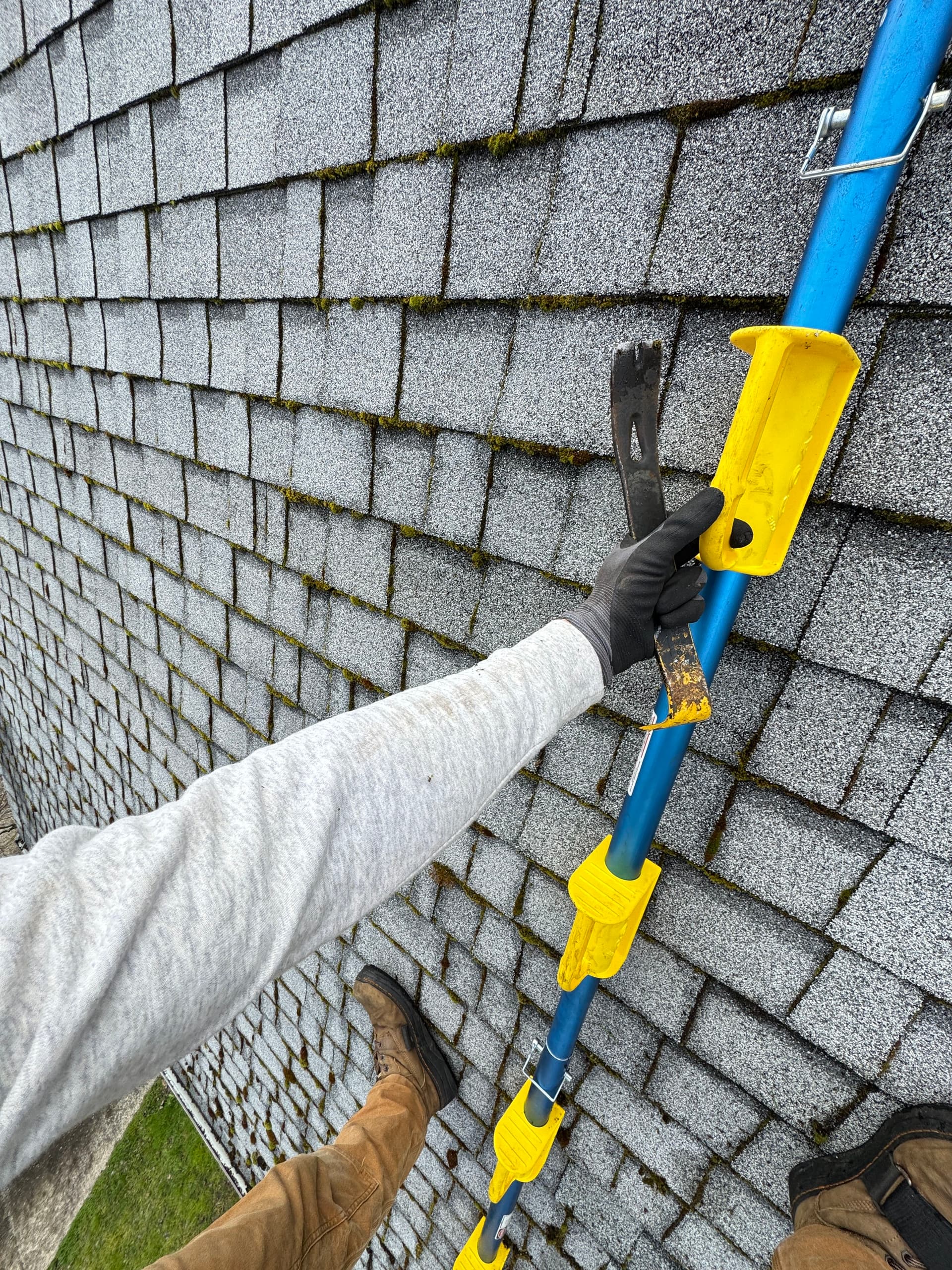Gallery photos for Roof Moss Removal and Gutter Cleaning on a Steep Roof: Image #4