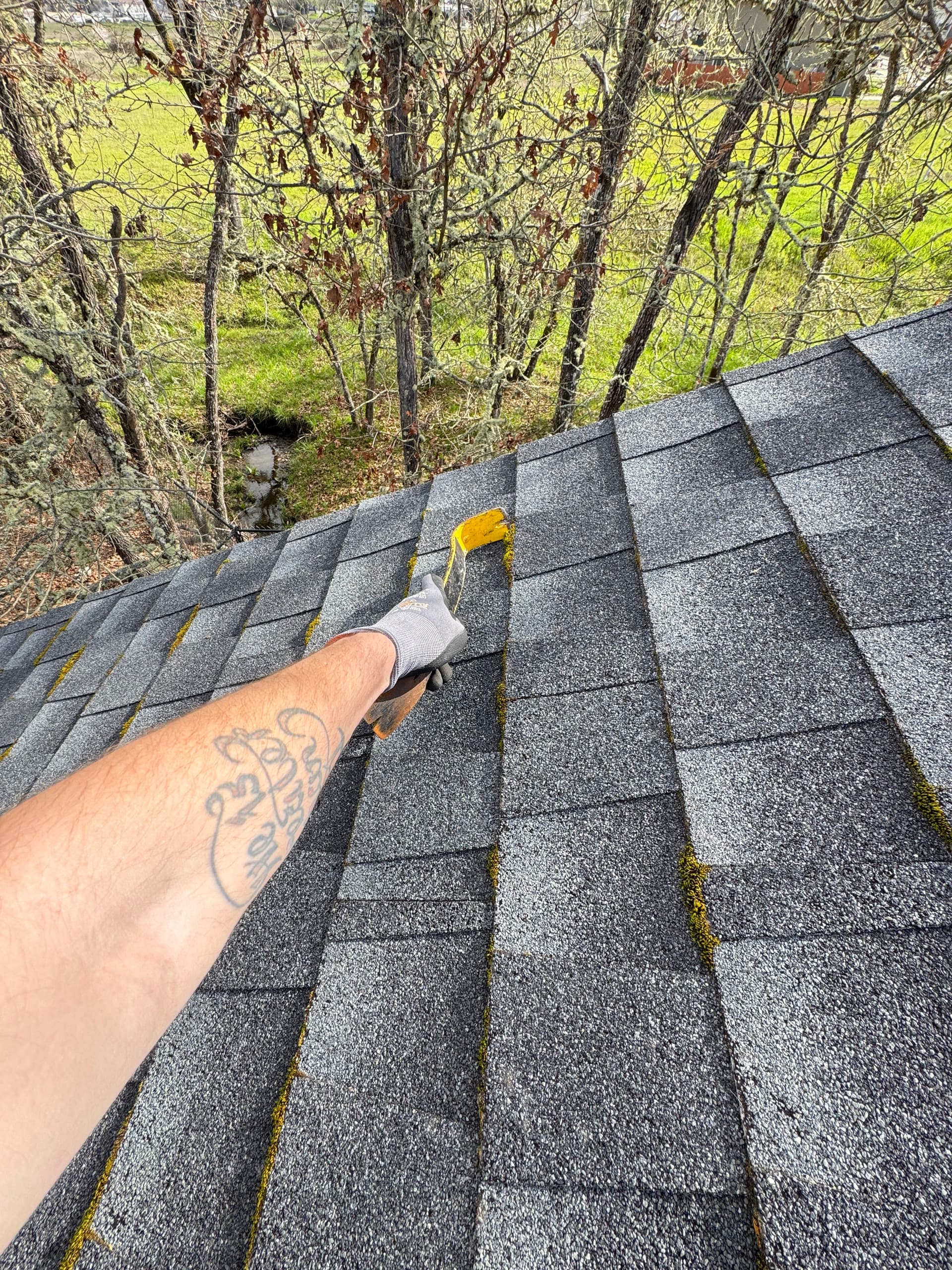 Gallery photos for Roof Restoration and Gutter Cleaning Success: Image #4