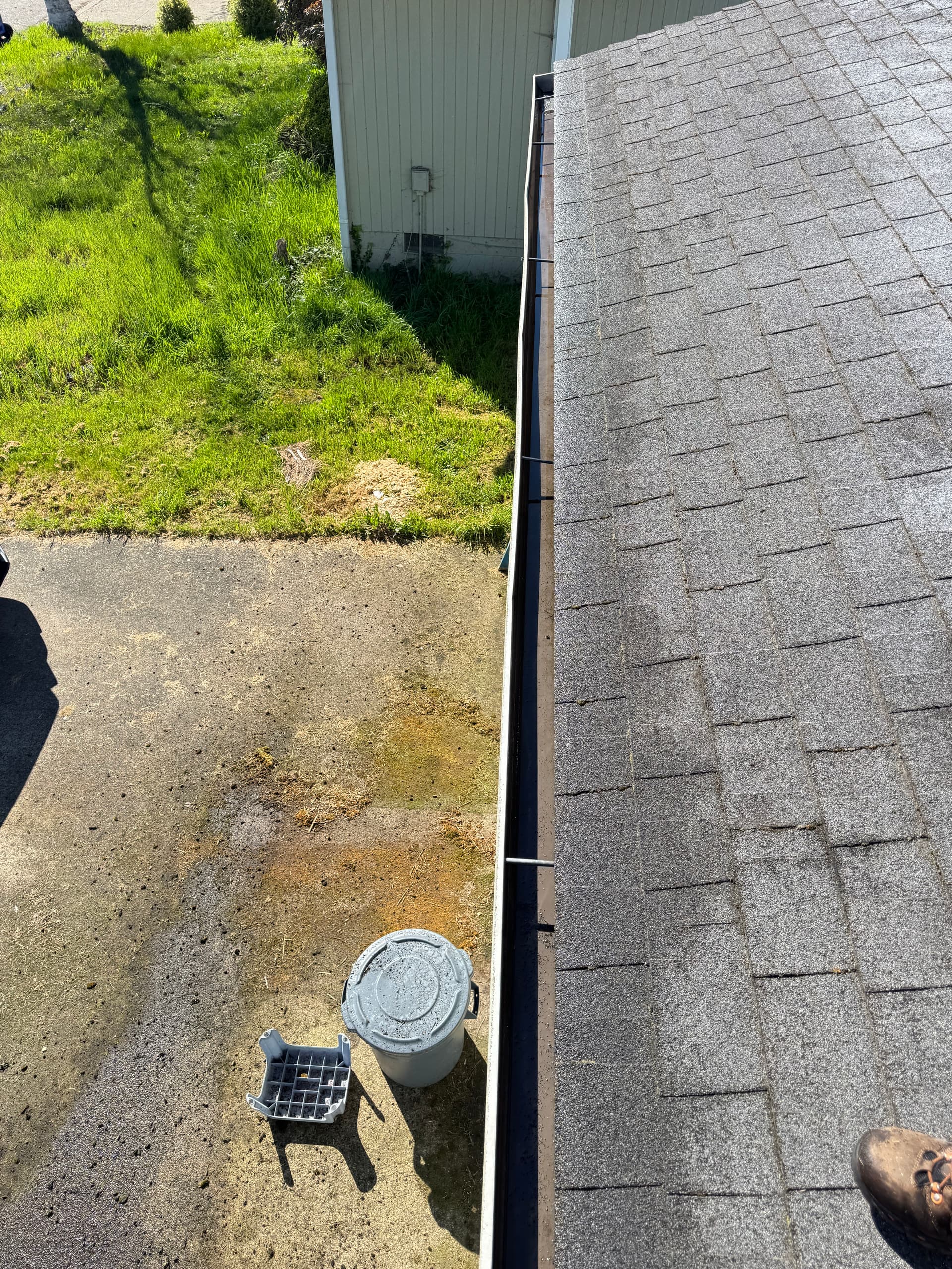 Gallery photos for Roof Moss Removal and Gutter Cleaning Excellence: Image #5