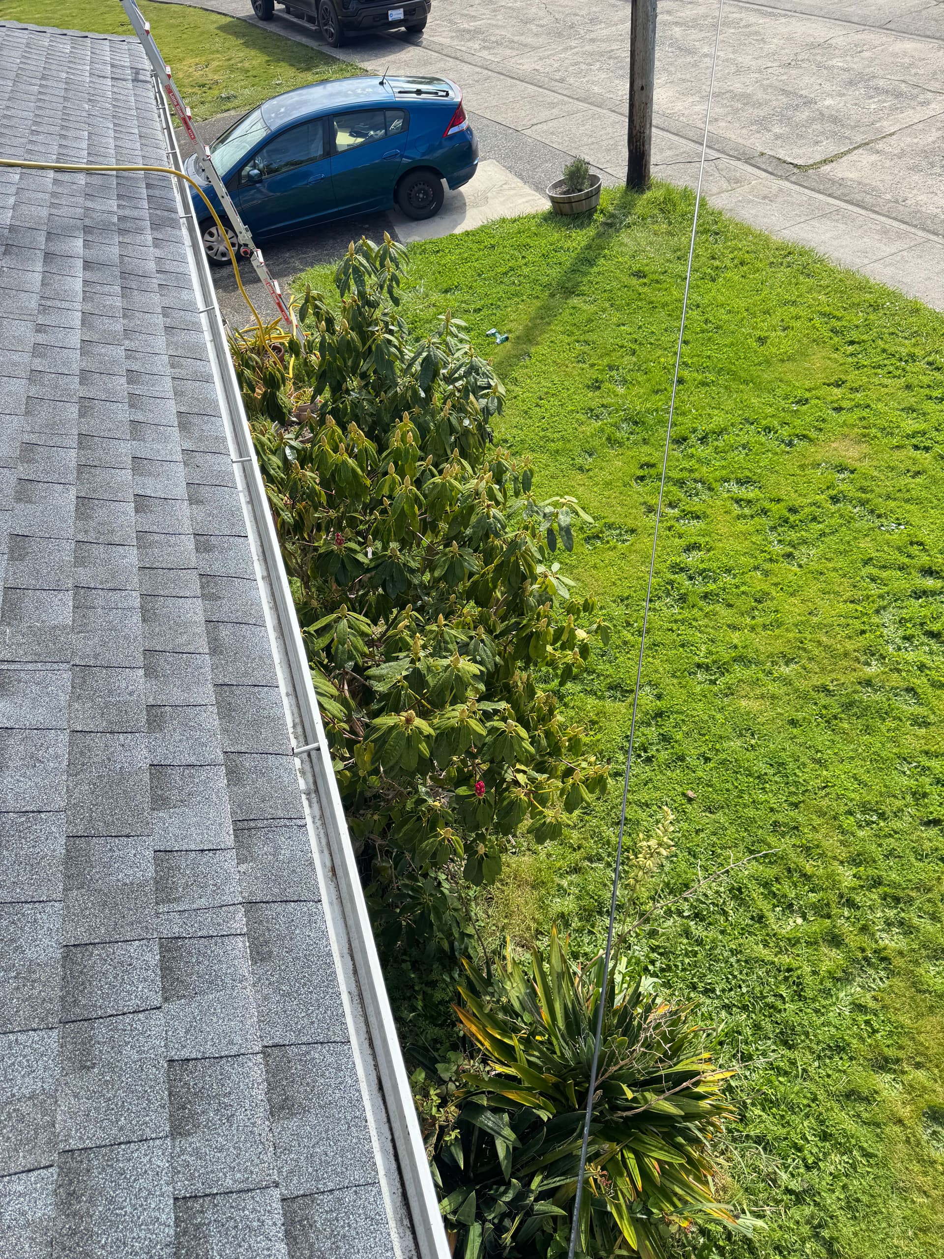 Gallery photos for Coastal Gutter Cleaning Done Right in North Bend: Image #5