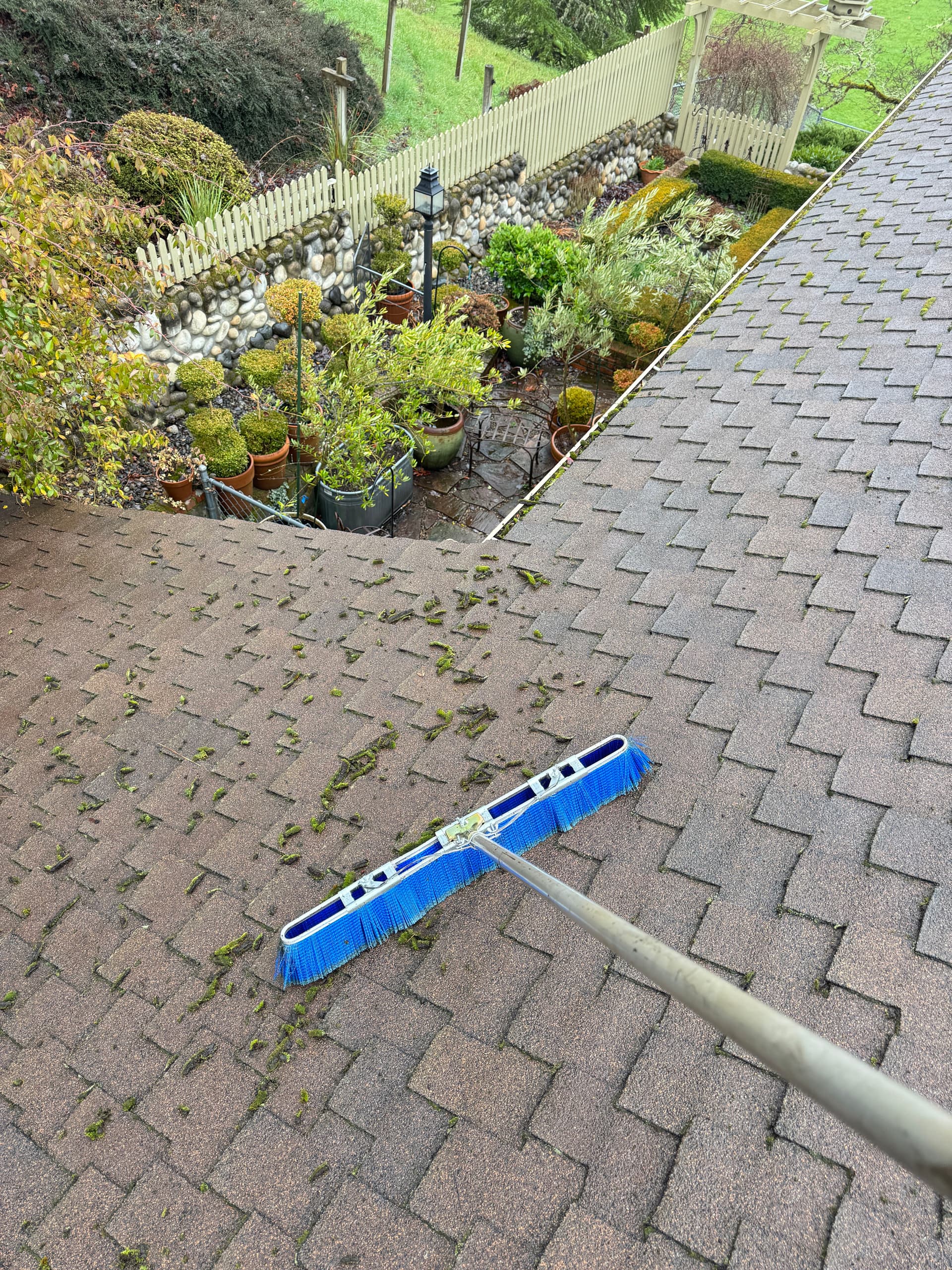 Gallery photos for Professional Roof Moss and Gutter Cleaning Service: Image #4