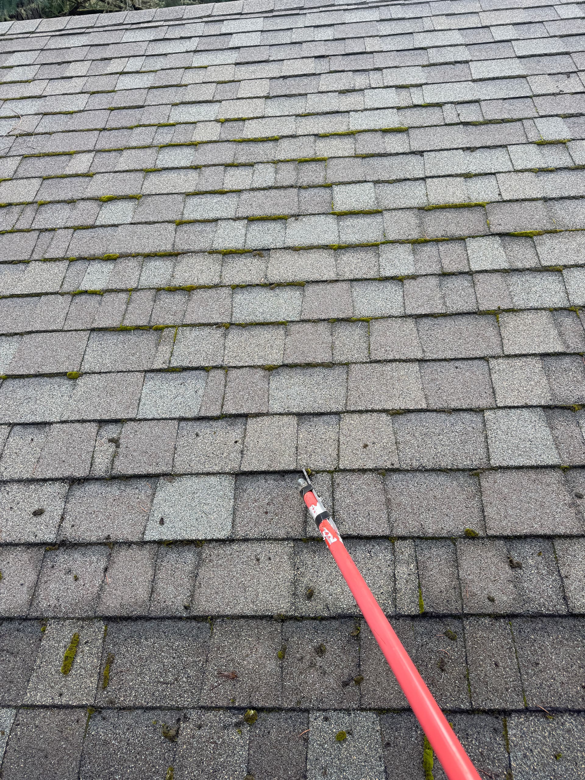 Gallery photos for Comprehensive Roof and Gutter Cleanup: Image #2