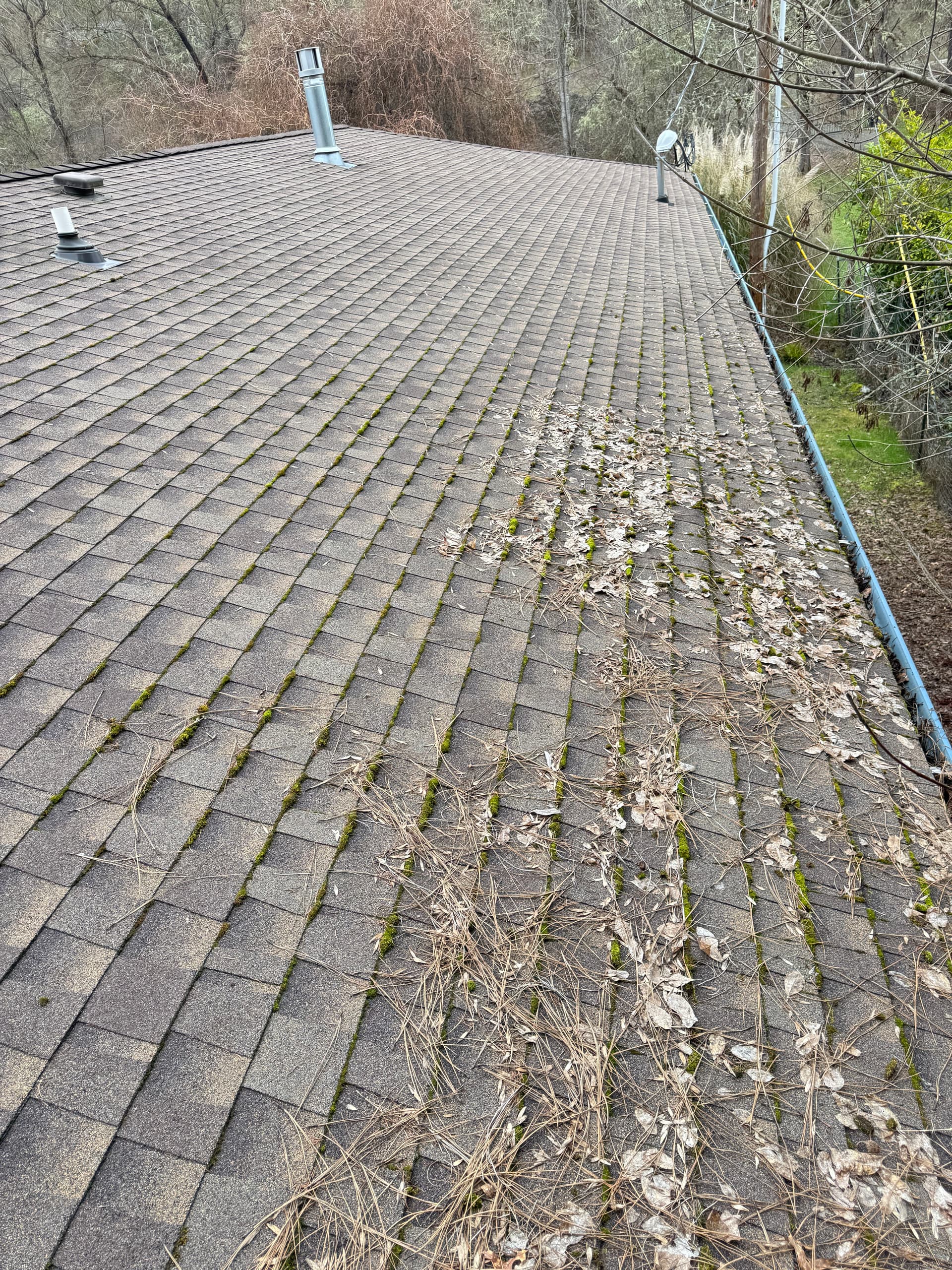 Comprehensive Roof and Gutter Cleanup image
