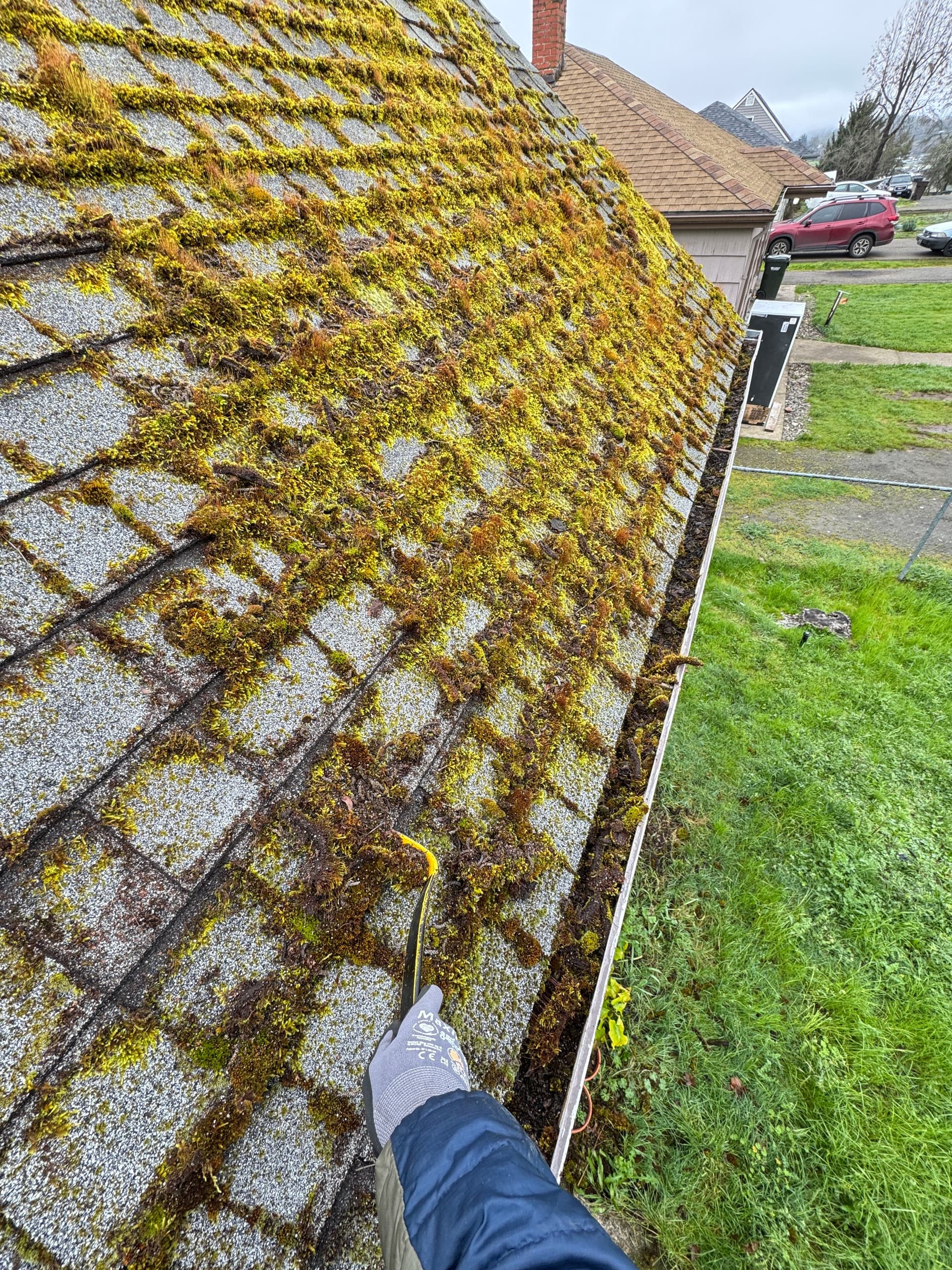 Gallery photos for Roof Moss Removal and Gutter Cleaning on a Steep Roof: Image #1