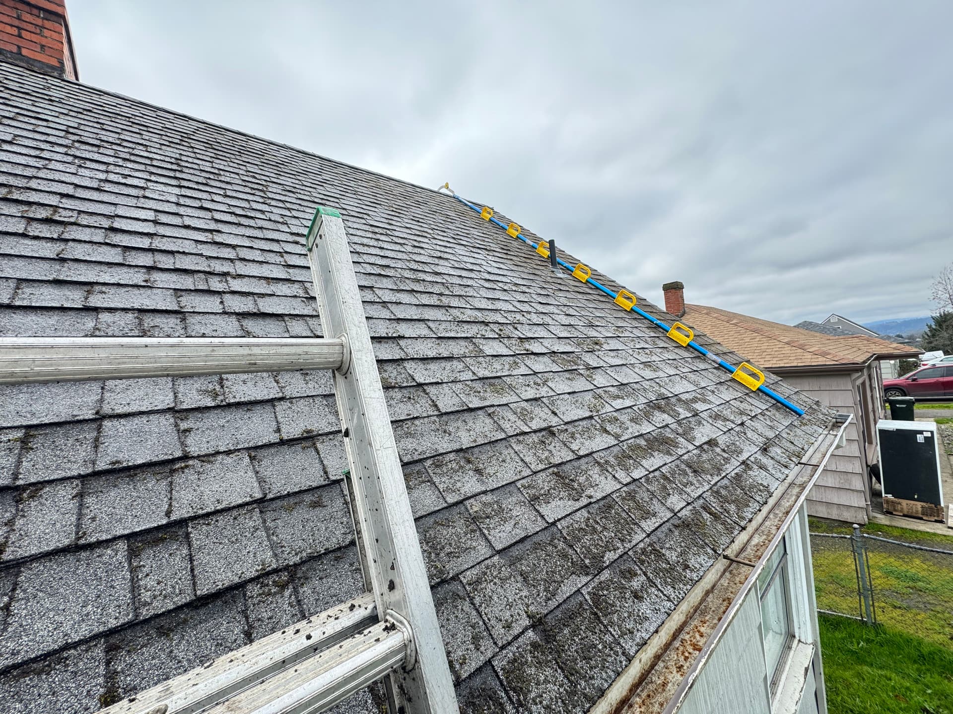 Gallery photos for Roof Moss Removal and Gutter Cleaning on a Steep Roof: Image #5